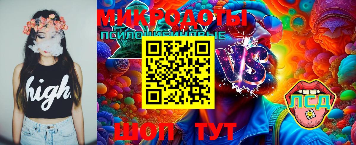 Галлюциногенные грибы Psilocybine cubensis Гурьевск