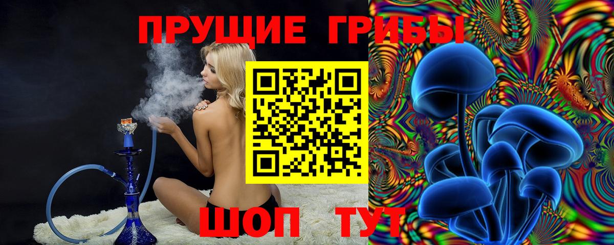Псилоцибиновые грибы ЛСД  Вход с VPN  Гурьевск  Псилоцибиновые грибы ЛСД 
